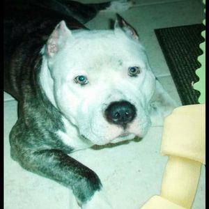 Meet your Posher, Stephen